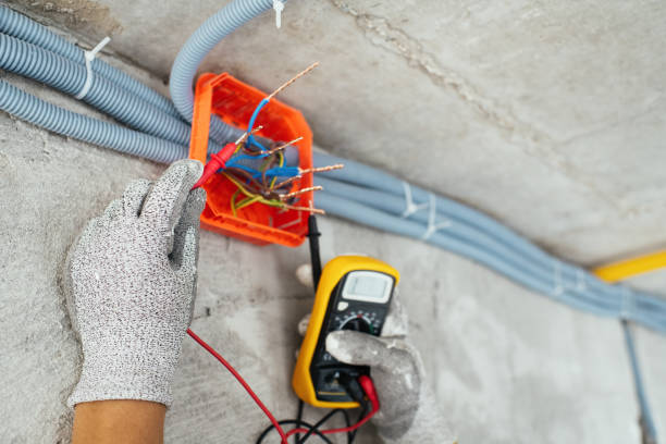 Best Ceiling Fan Installation Electrician  in Schleswig, IA