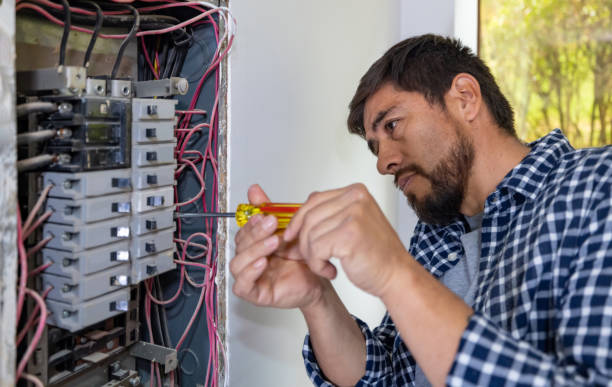 Best Ceiling Fan Installation Electrician  in Schleswig, IA